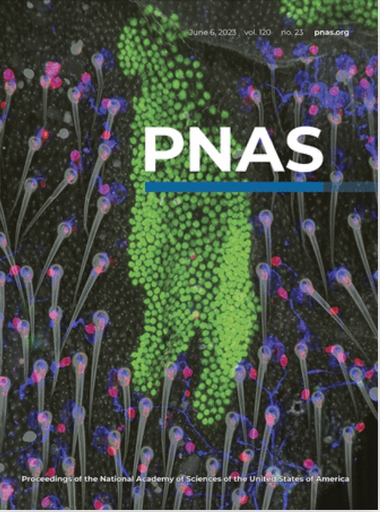 Paper cover